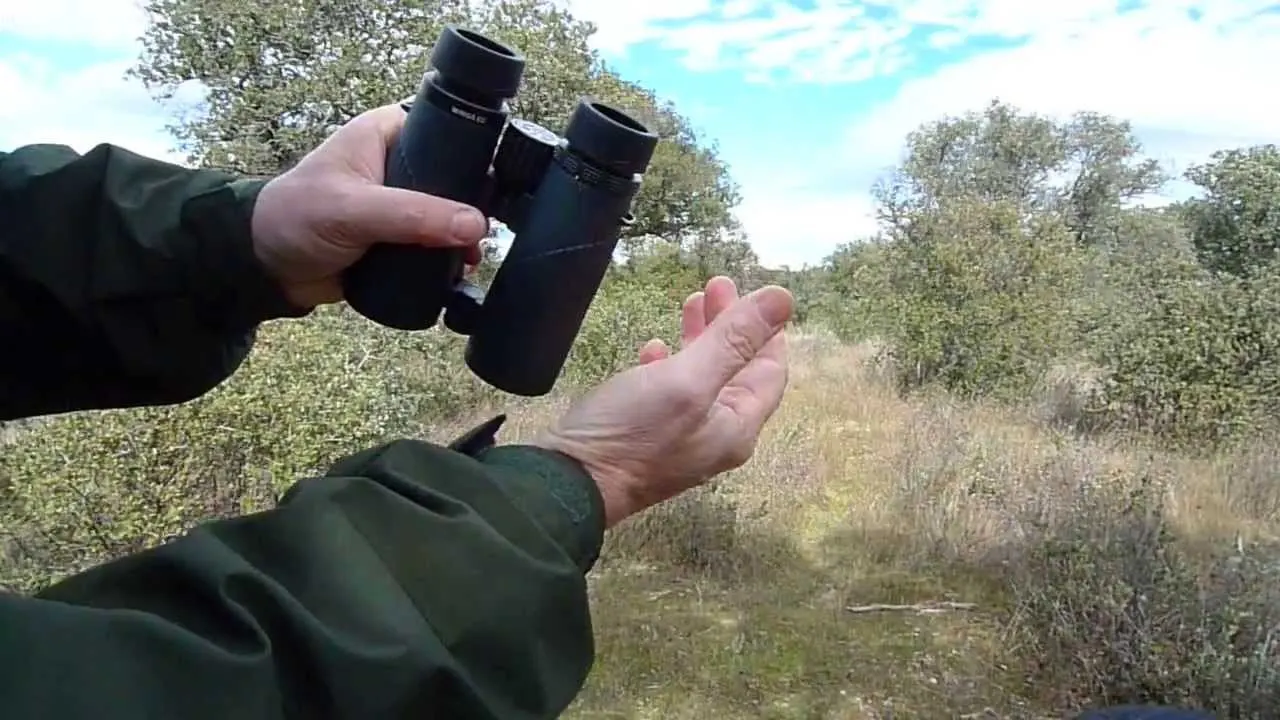 Best Binoculars for hunting